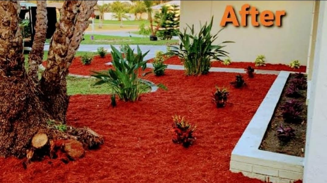 Clean View Tree Services