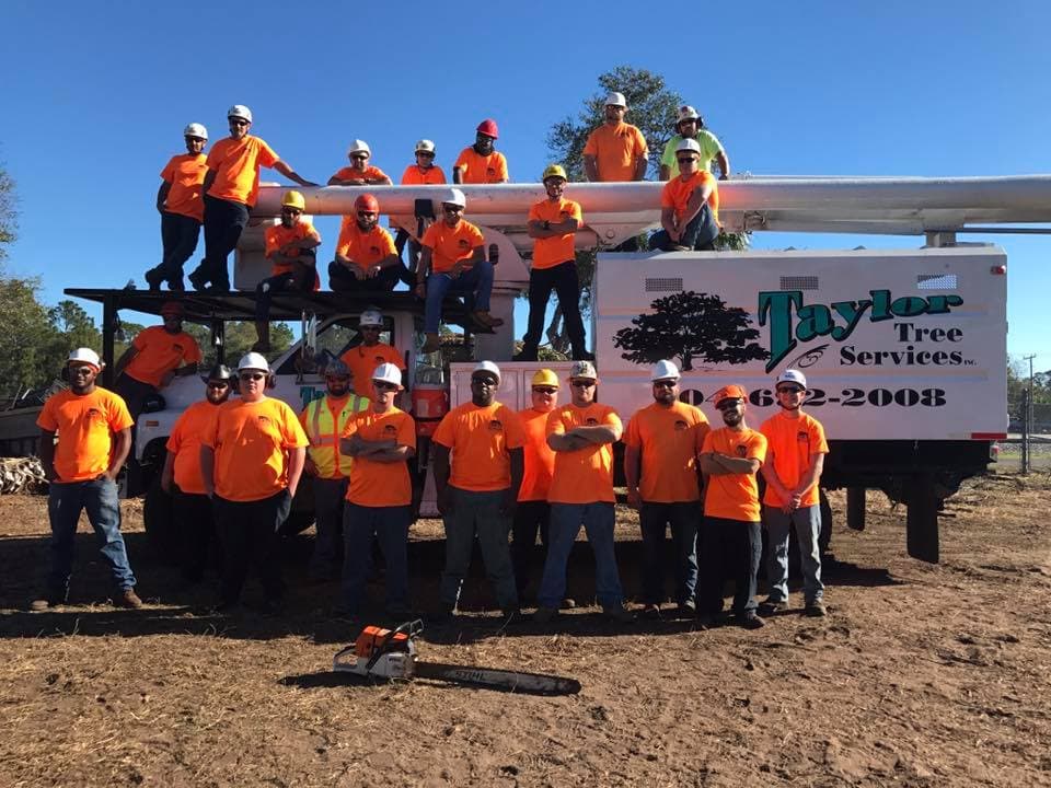 Taylor Tree Services, Inc.