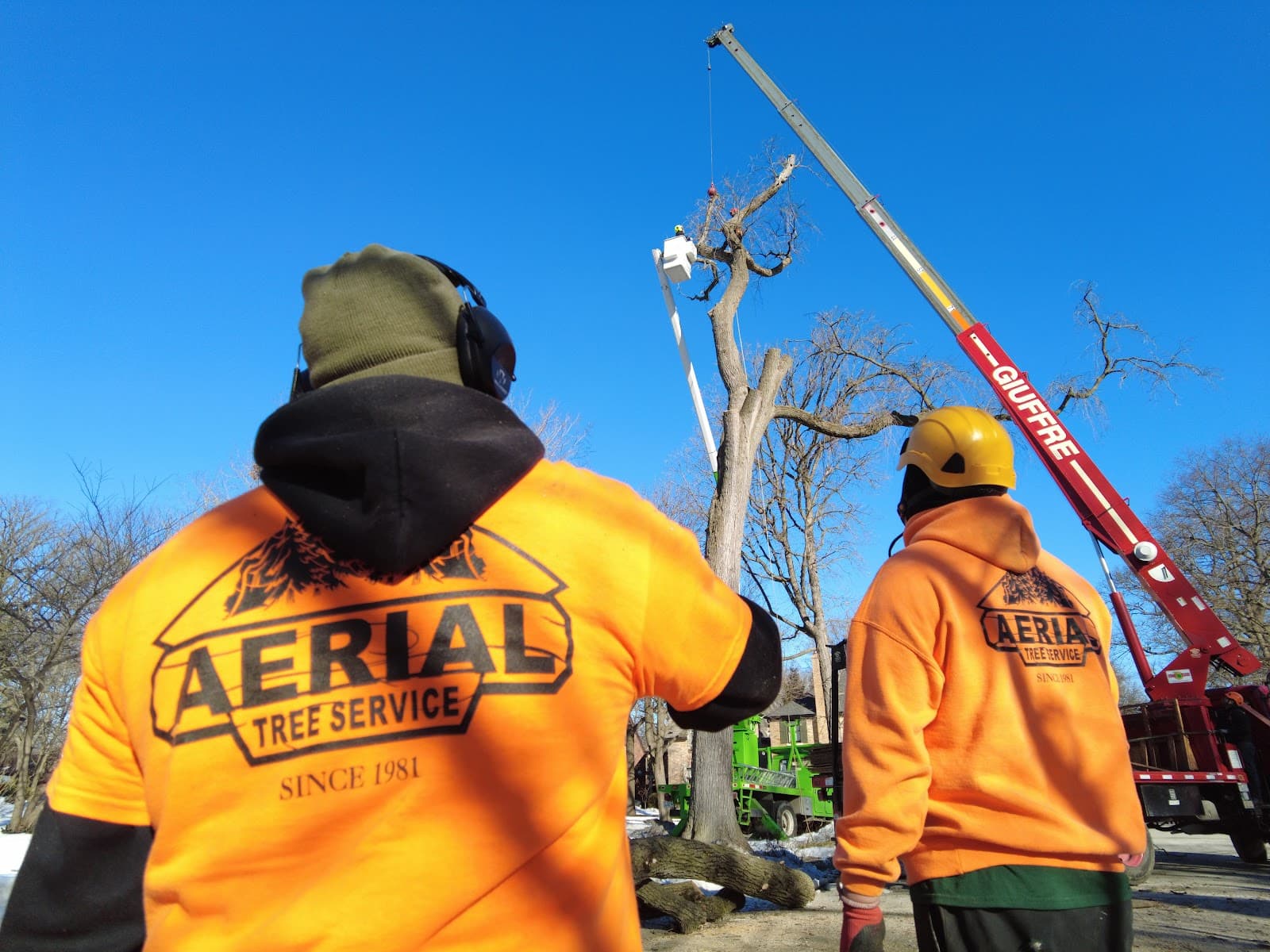 Aerial Tree Service