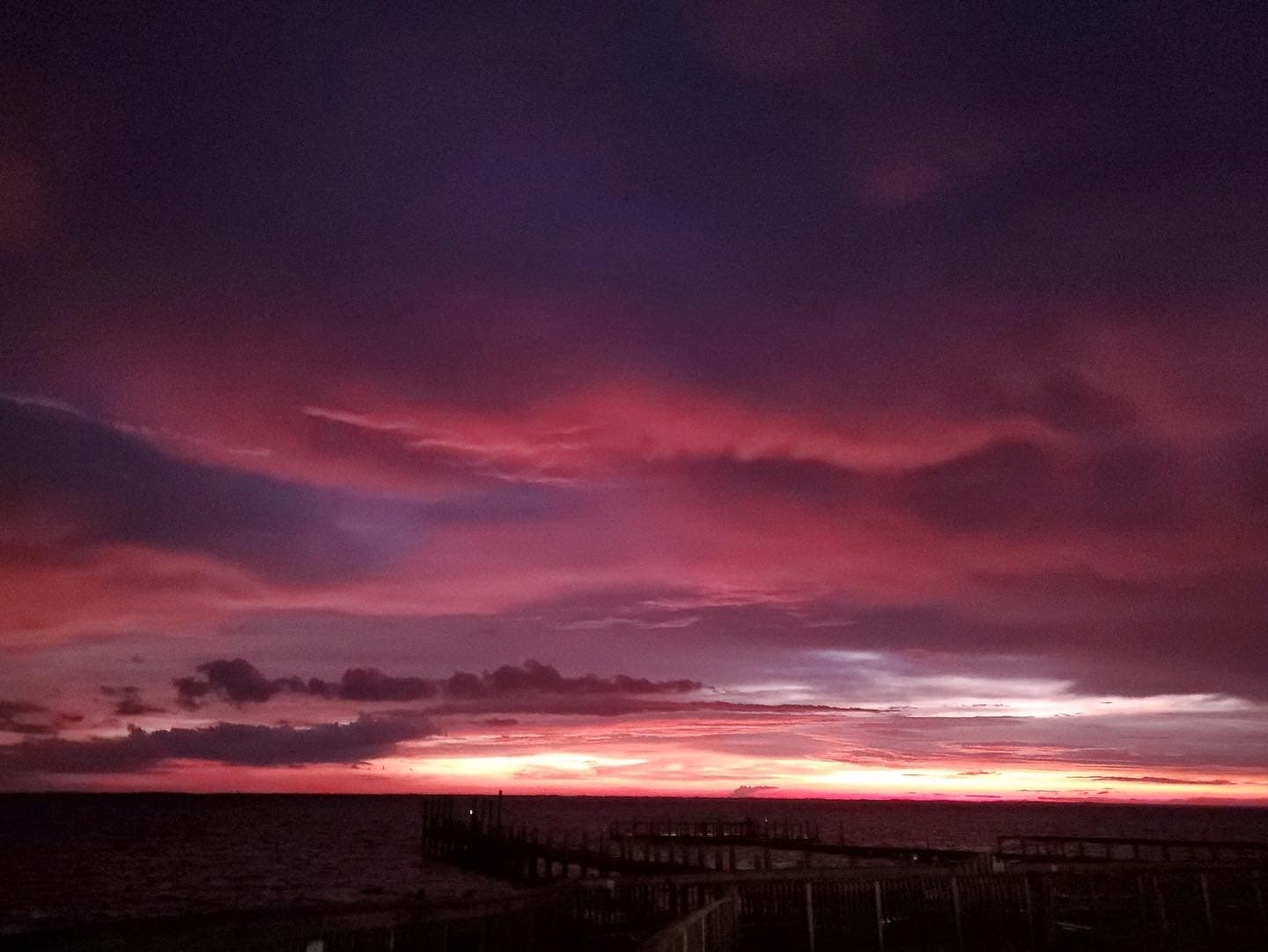 Orleans Co. Tree Service