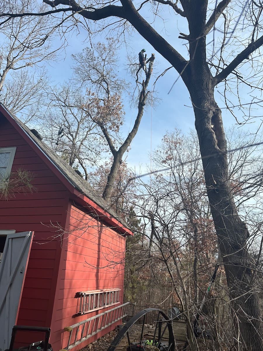 GR Tree Service MN