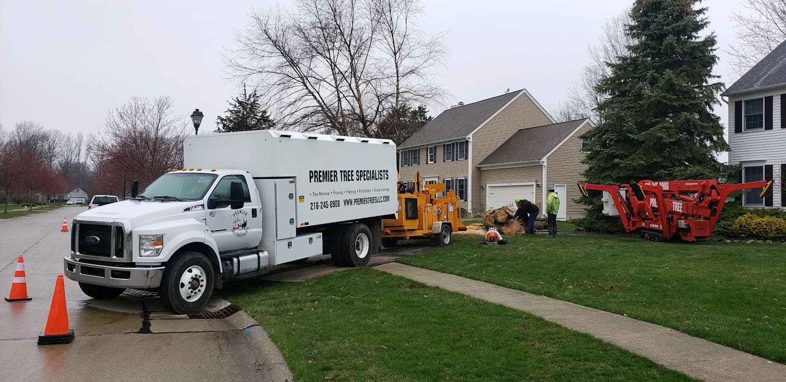 Premier Tree Specialists