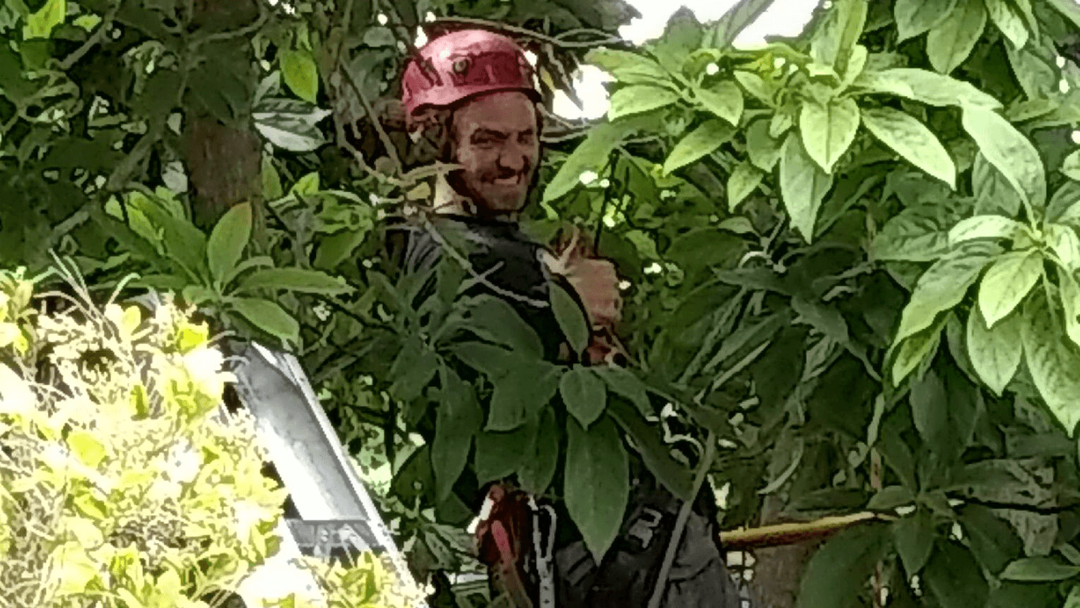 Arbo Lo co. Tree Care