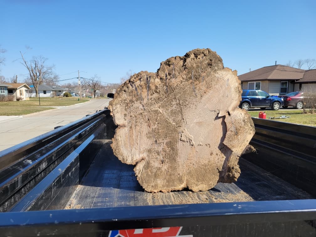 Kingsgard Tree Service