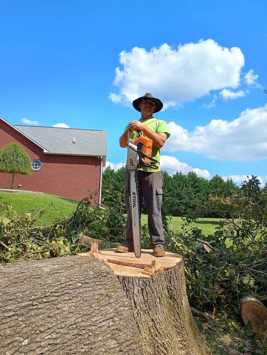 Clean Cut Tree Service