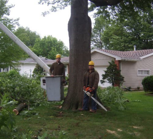 Joe's Tree Service