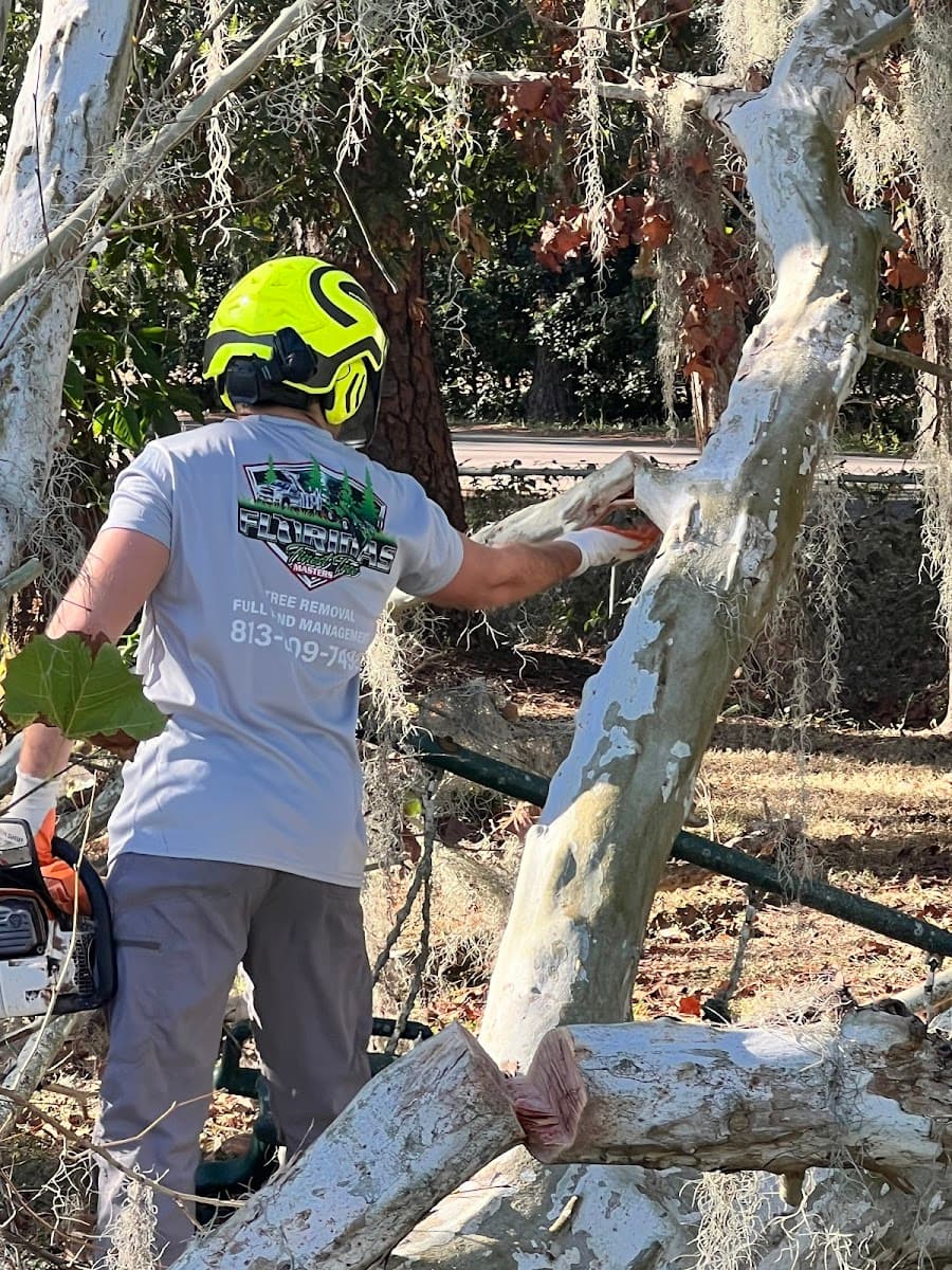 Florida's Finest Tree Masters, LLC