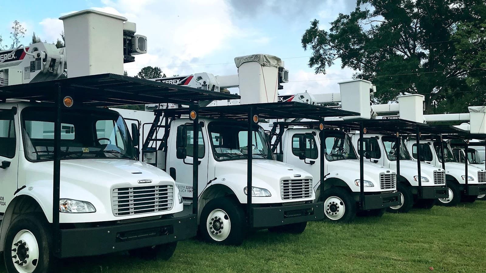 Phillips Tree Service