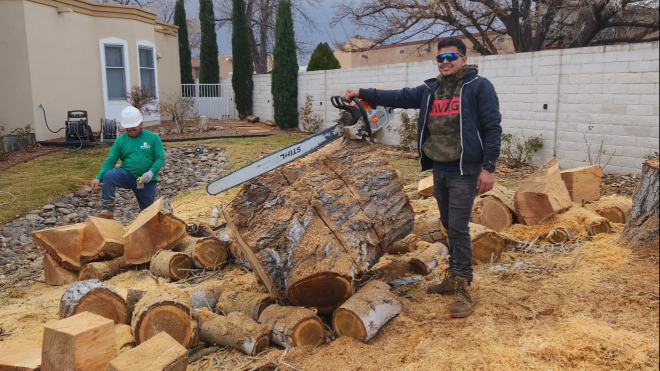 Hugo man tree services