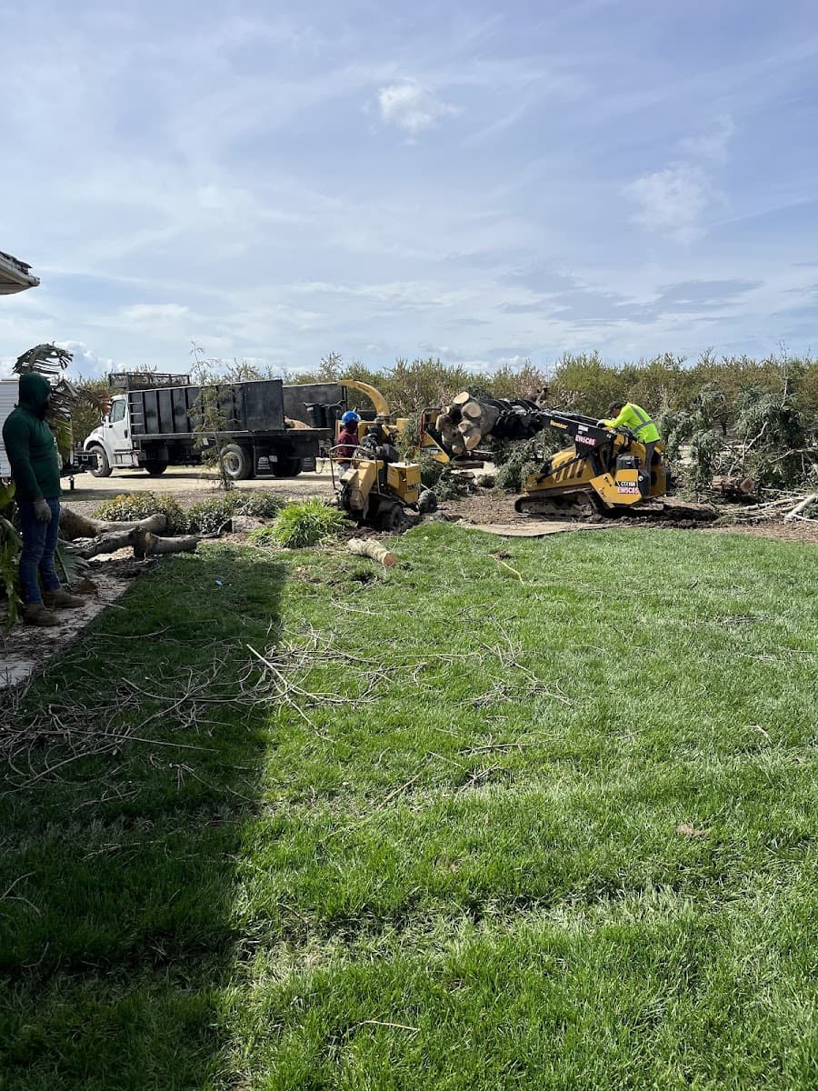 Mendez Brothers Tree Service