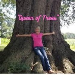 Mandi's Tree Care, LLC