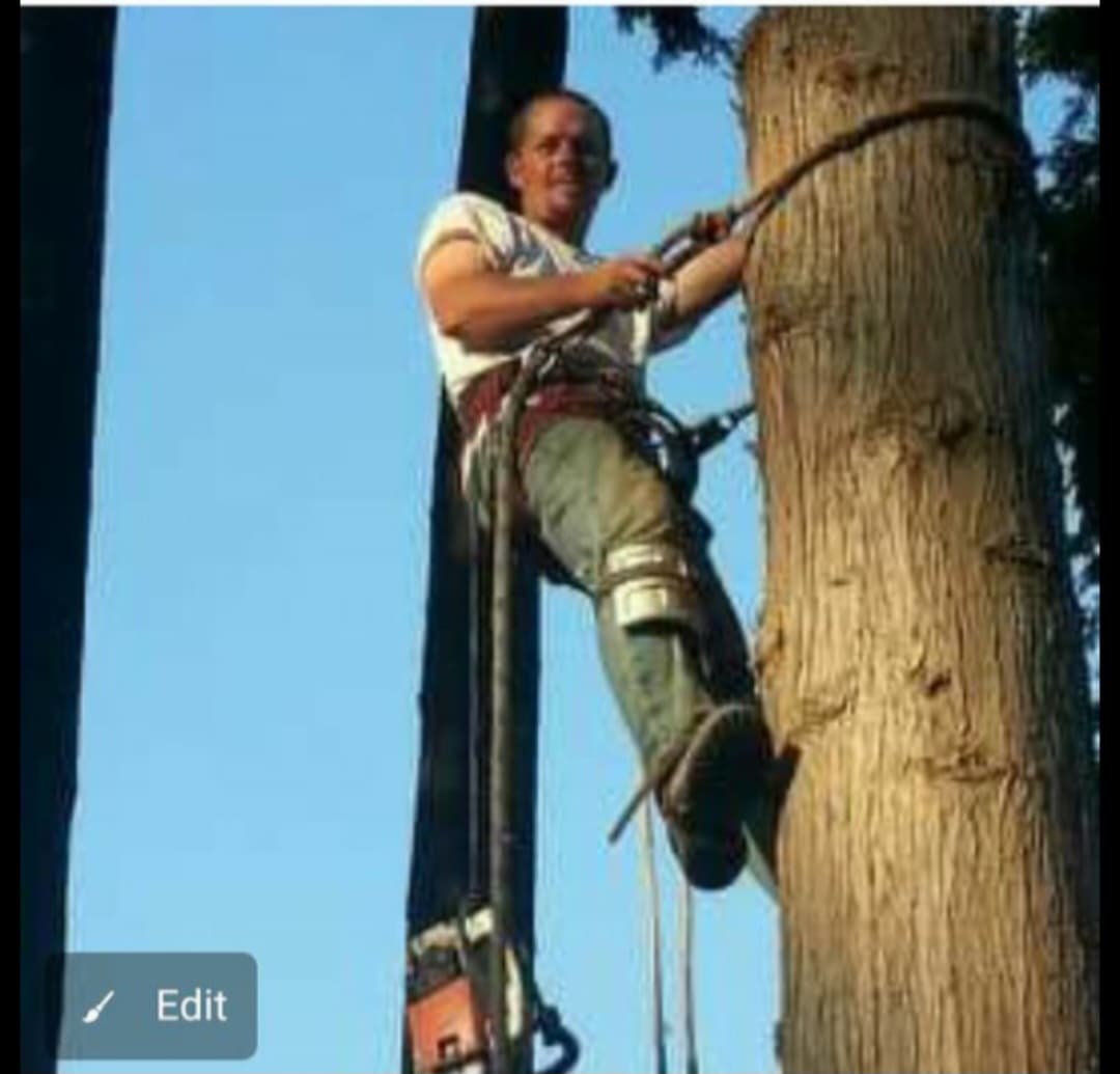 Clean Cut Tree Service
