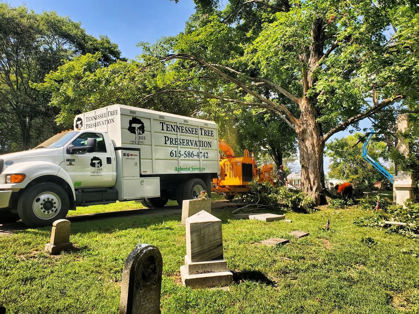 TN Tree Preservation