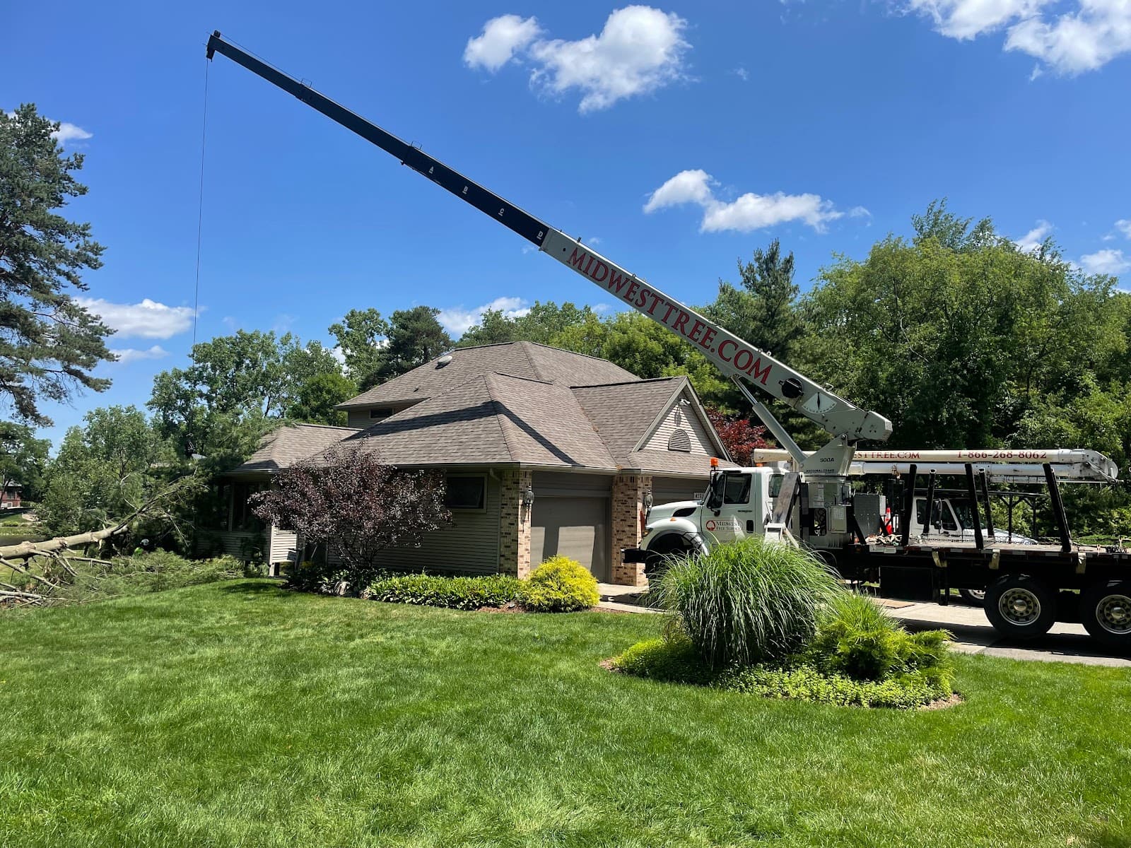 Midwest Tree Service