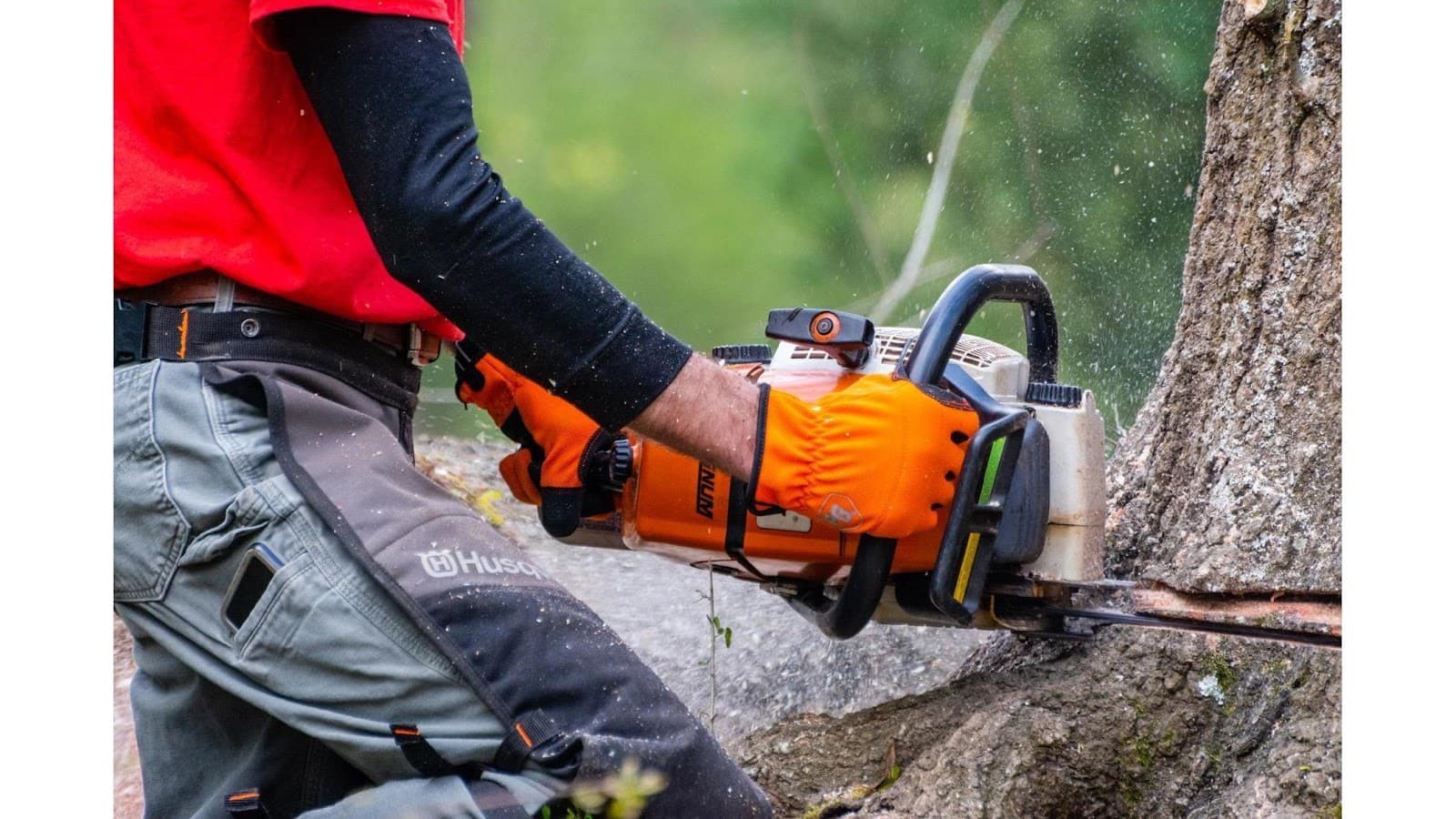 TTM Tree Service & Landscaping