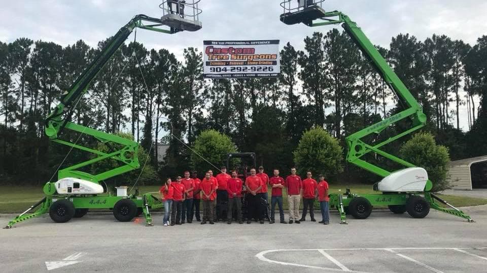 Custom Tree Surgeons