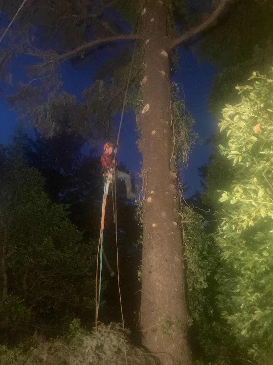 Fire Safe Landscapes LLC