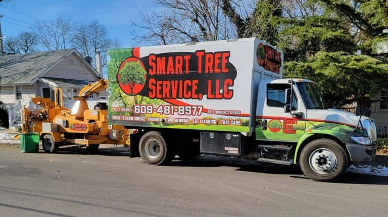 Smart Tree Service LLC