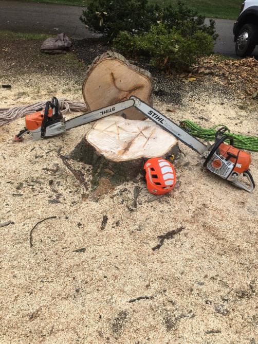 A&Y Landscaping and Tree Services LLC