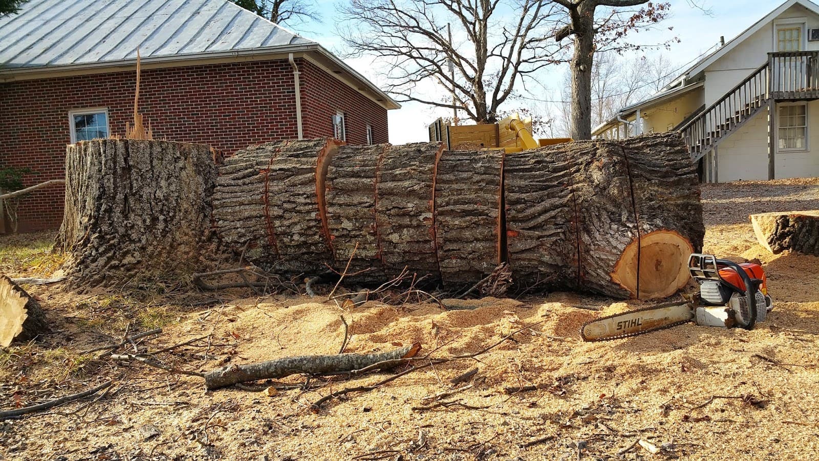 Woody's Tree Service