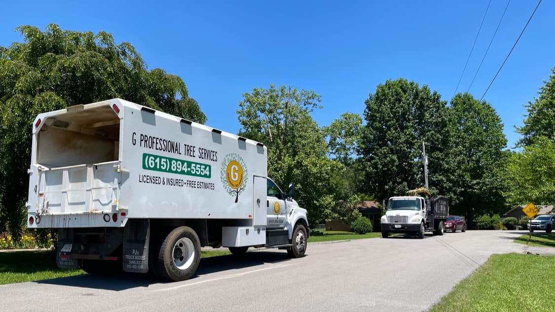 G Professional Tree Service