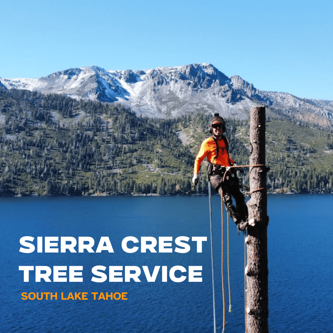 Sierra Crest Tree Service