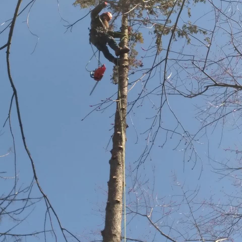 Earthbound Builders LLC