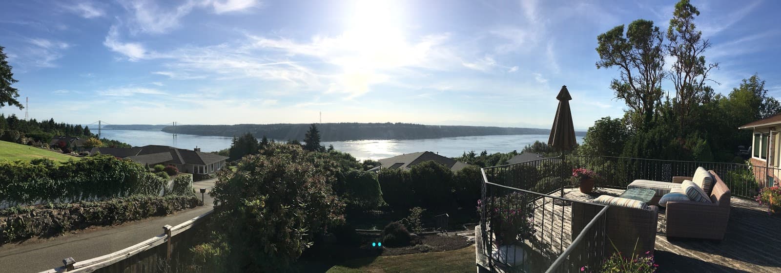 Apex Tree Experts - Tacoma