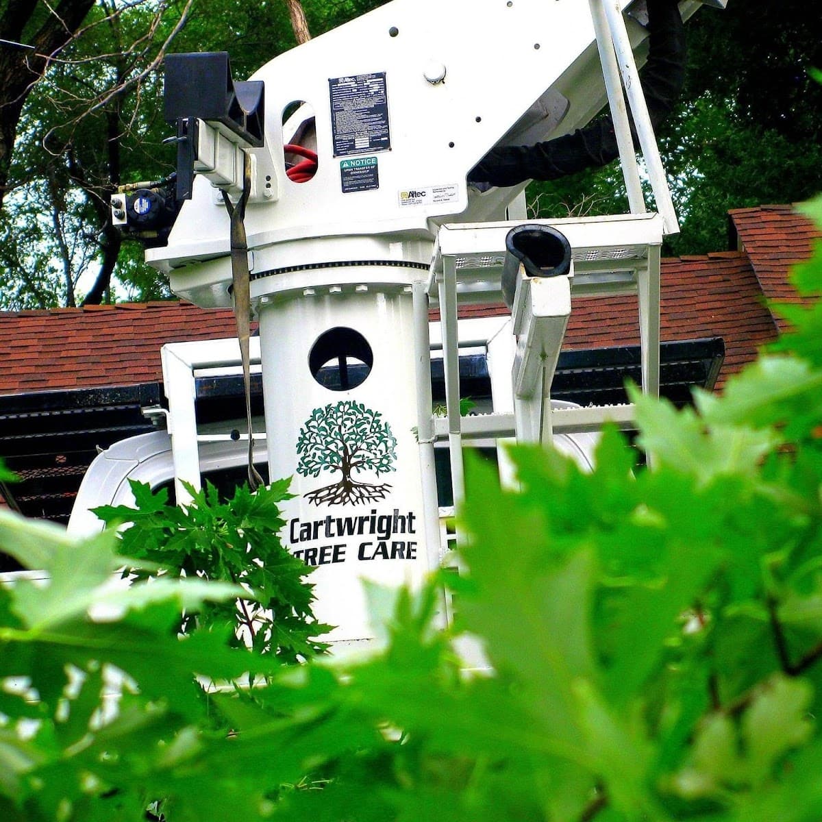 Cartwright Tree Care