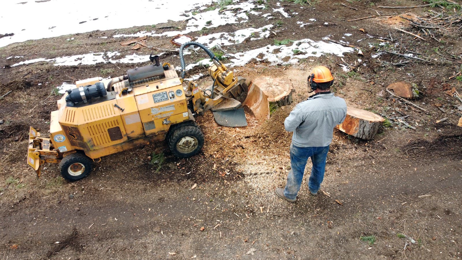 Reliable Stump Grinding