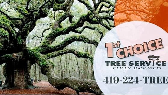1st Choice Tree Service