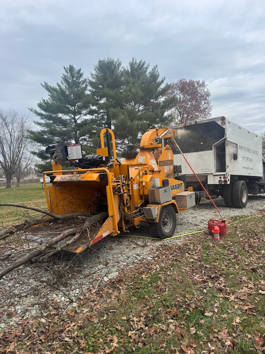 All Points Tree Service