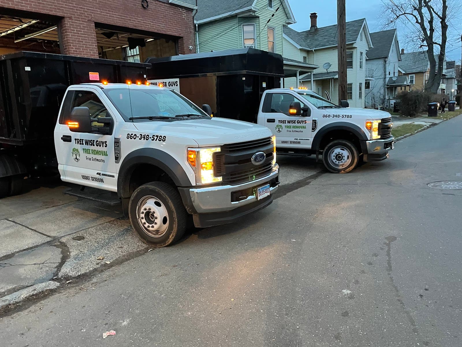 Tree Wise Guys of CT LLC