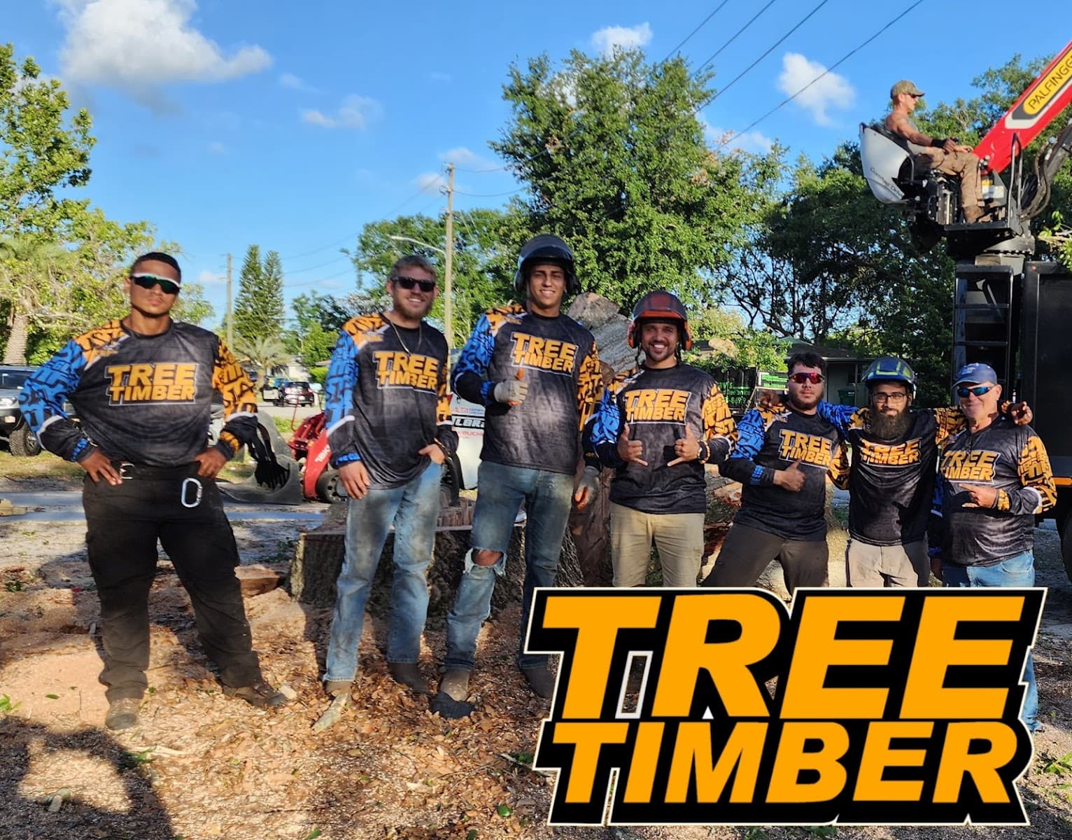 Tree Timber LLC