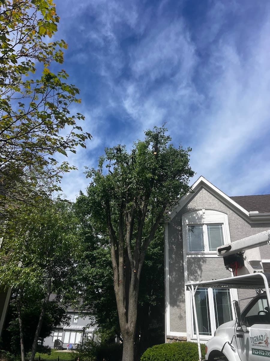 Tornado Lawn and Tree Service In Kansas City