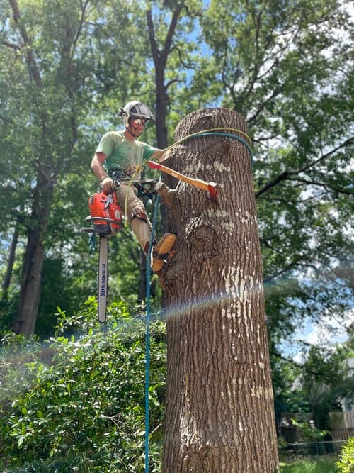 Watson Arbor Service