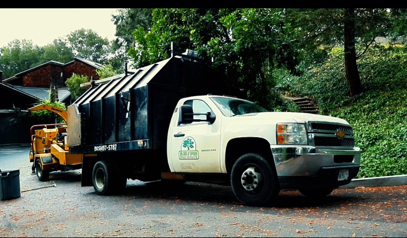 Am/Pm Tree Service, Inc.