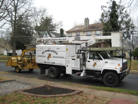 Bumblebee Tree Service & Landscape Design LLC