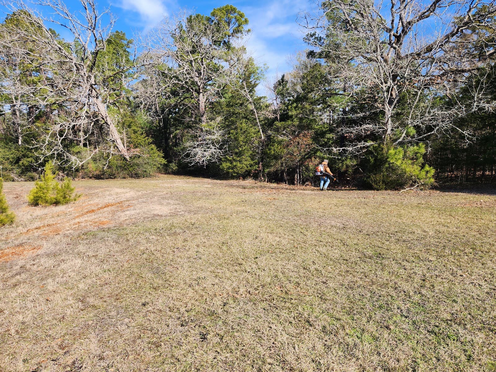 Arvizu Landscape & Tree Service LLC