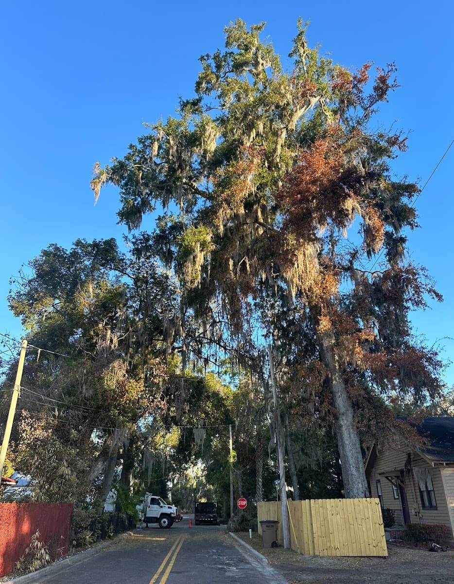 Elite Outdoor Services of North Florida, LLC