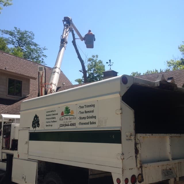 Haas Tree Service