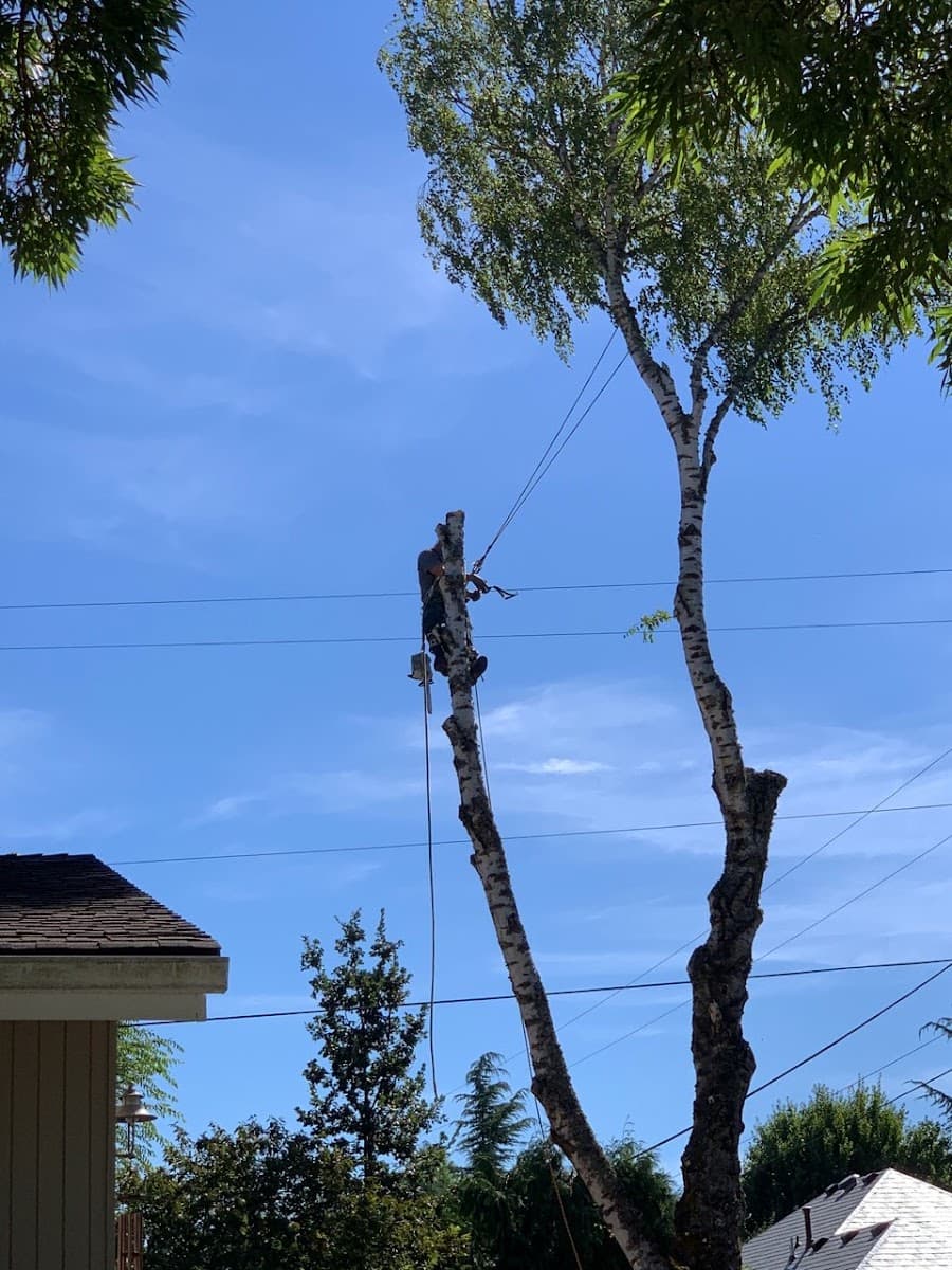 Christensen Cutting Service