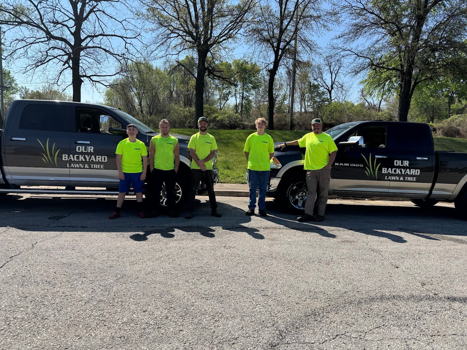 Our Backyard Lawn and Tree