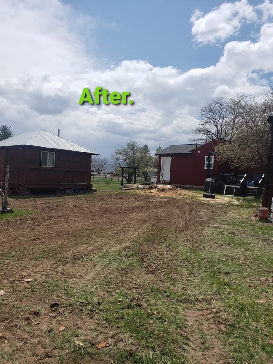 Top-Notch Tree Service