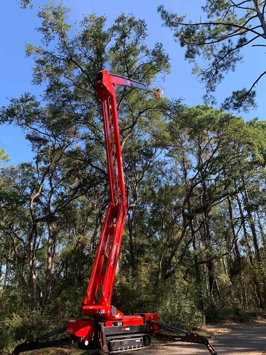 A Cut Above Tree Experts