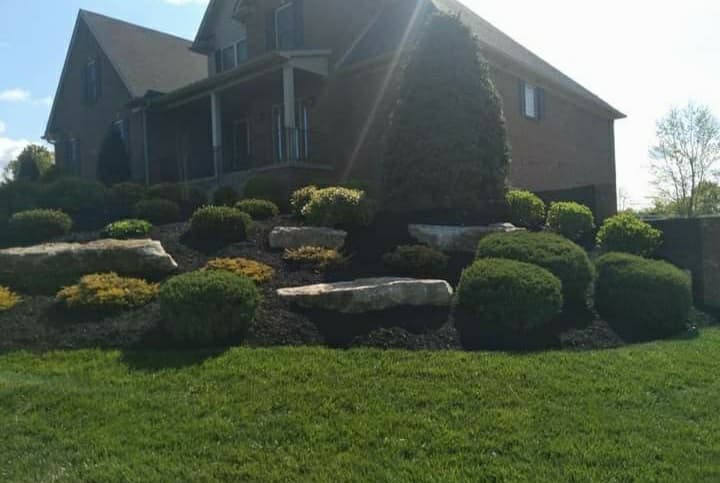 Central Turf Lawn Care & Tree Service