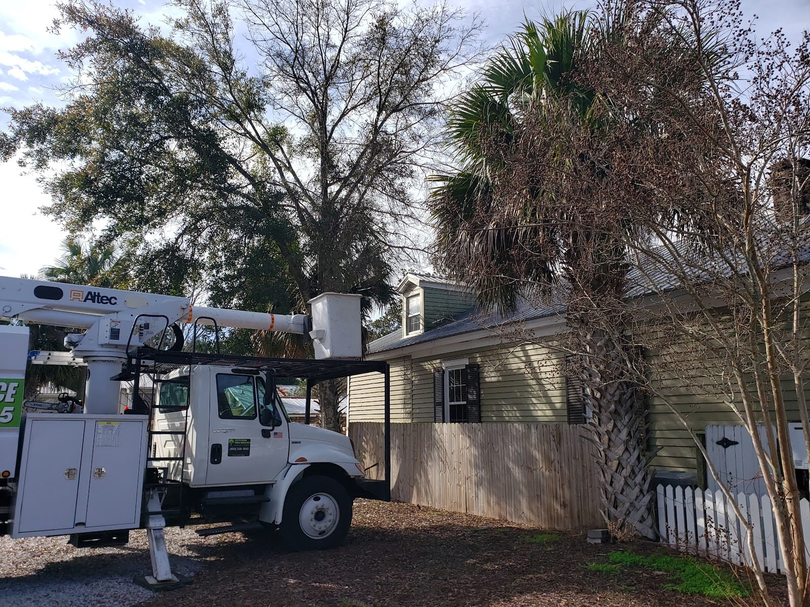 Cutchins Tree Service
