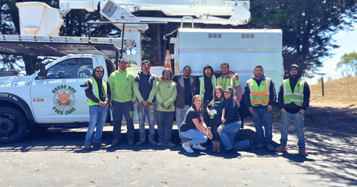 Brush Hog Tree Care Inc.