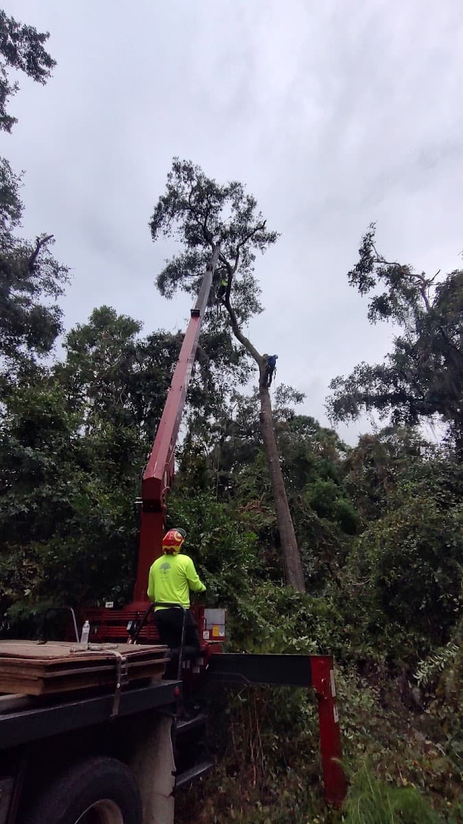 Bob's Tree and Crane Service