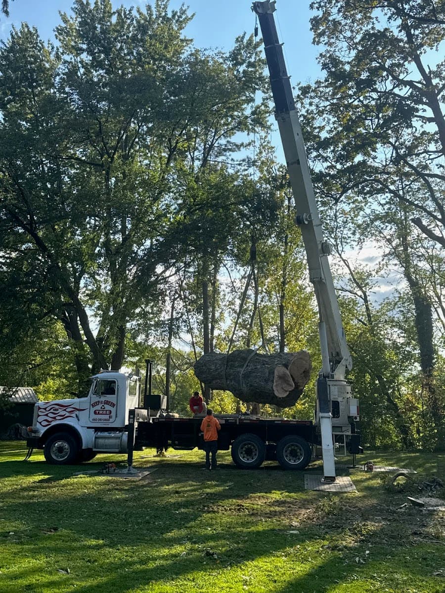 Cleveland Tree Service